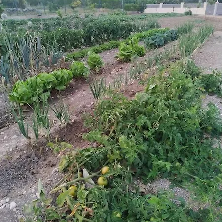 בית נופש Casa Lorena