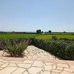 Prázdninový dům Casa Lorena L'Ampolla