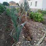 Casa Lorena * L'Ampolla