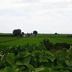Prázdninový dům Casa Lorena L'Ampolla