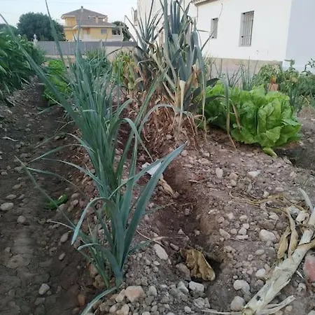 Casa Lorena * L'Ampolla