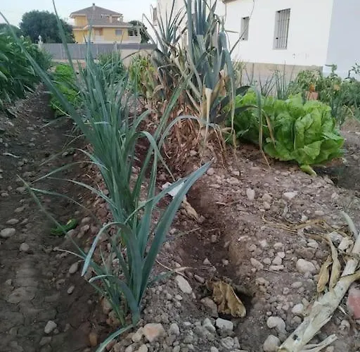 Casa Lorena * L'Ampolla